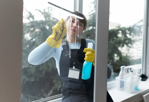 Nettoyage de vitres intérieures et extérieures au Tanu